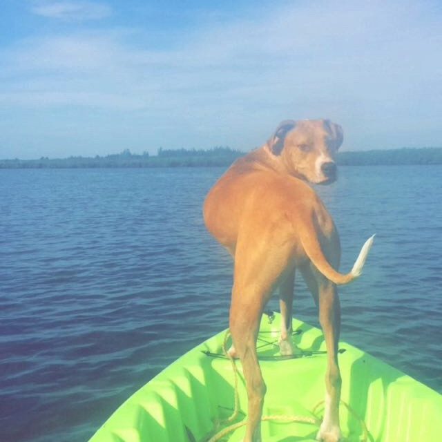 "Look Back At It"