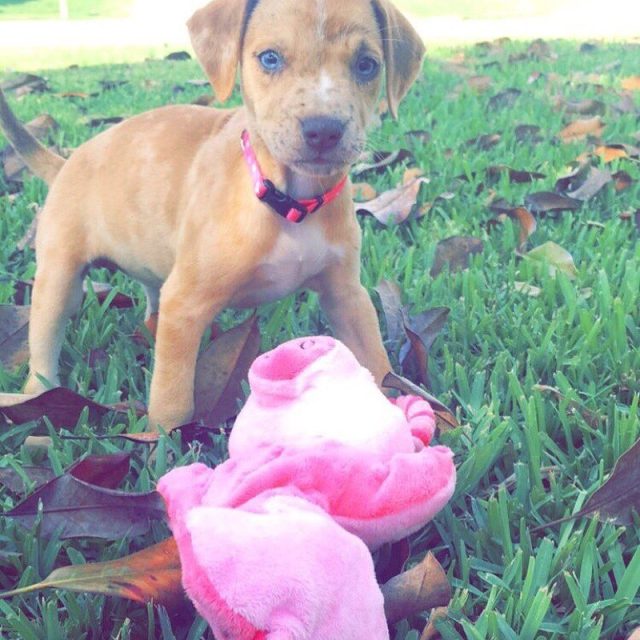 Stella💞