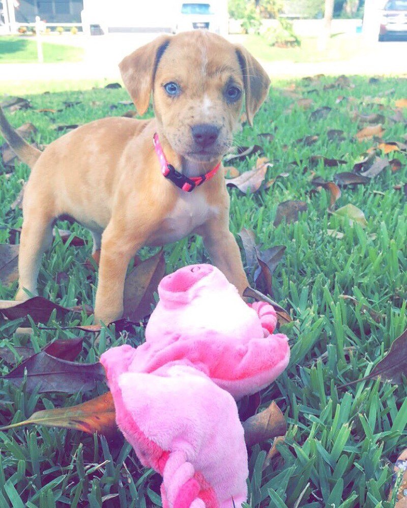 Stella💞