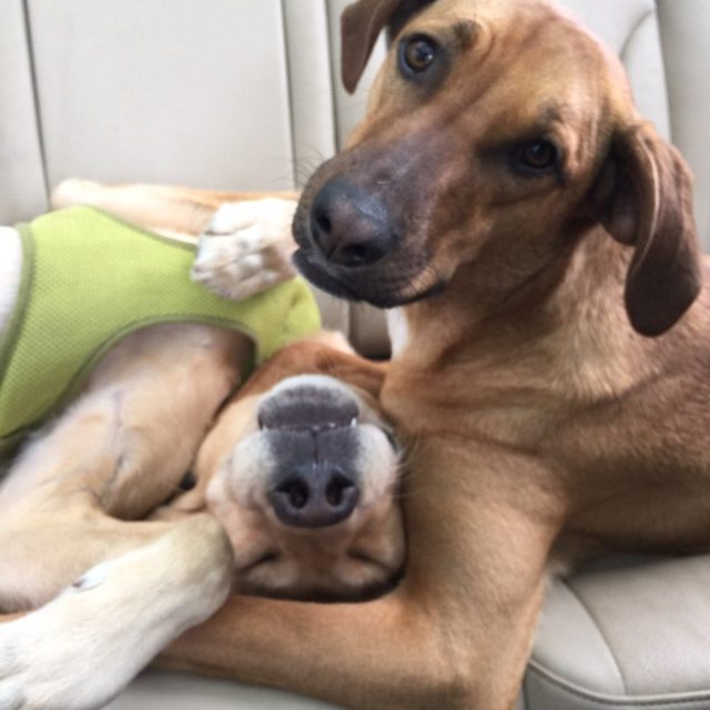Out For A Drive