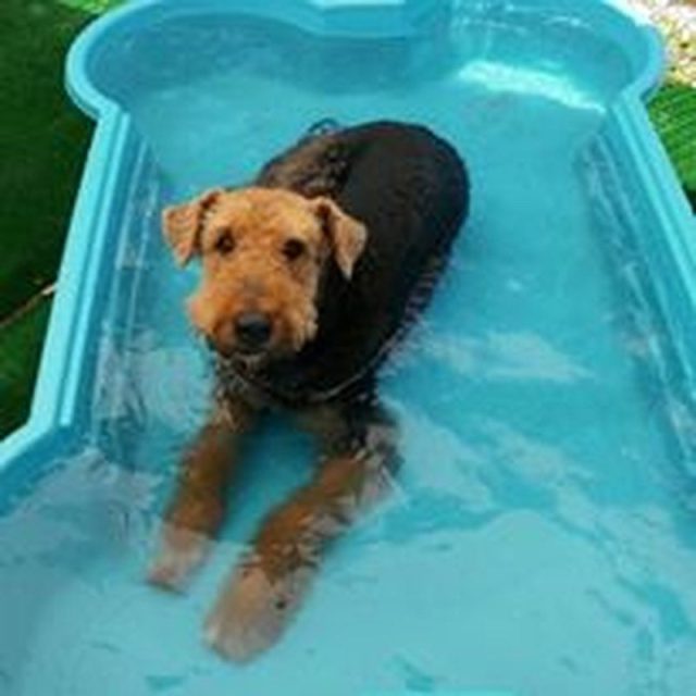 Chillin' Out! Brady Keepin It Cool :)