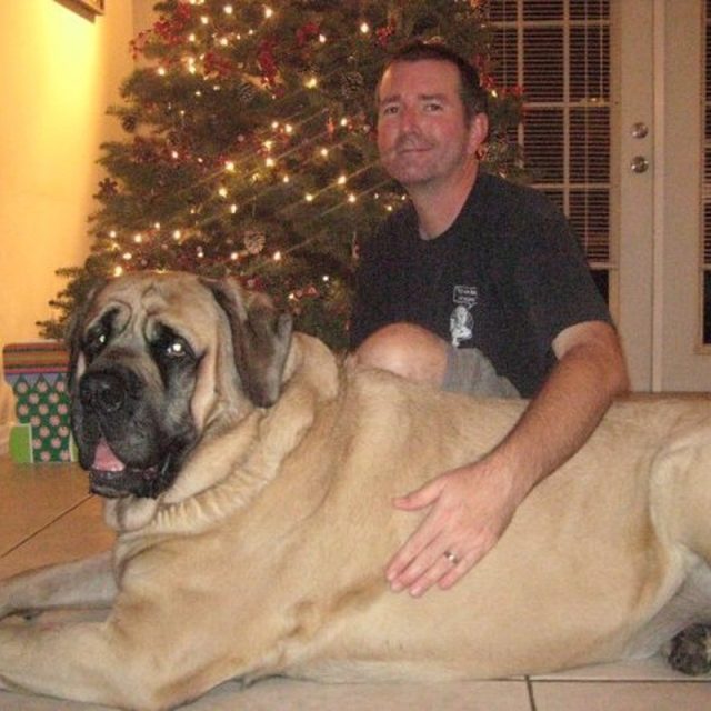 220 Lbs Of Pure Love