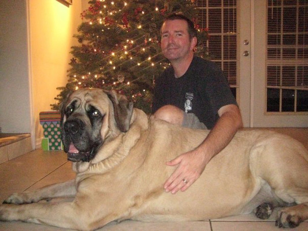 220 Lbs Of Pure Love