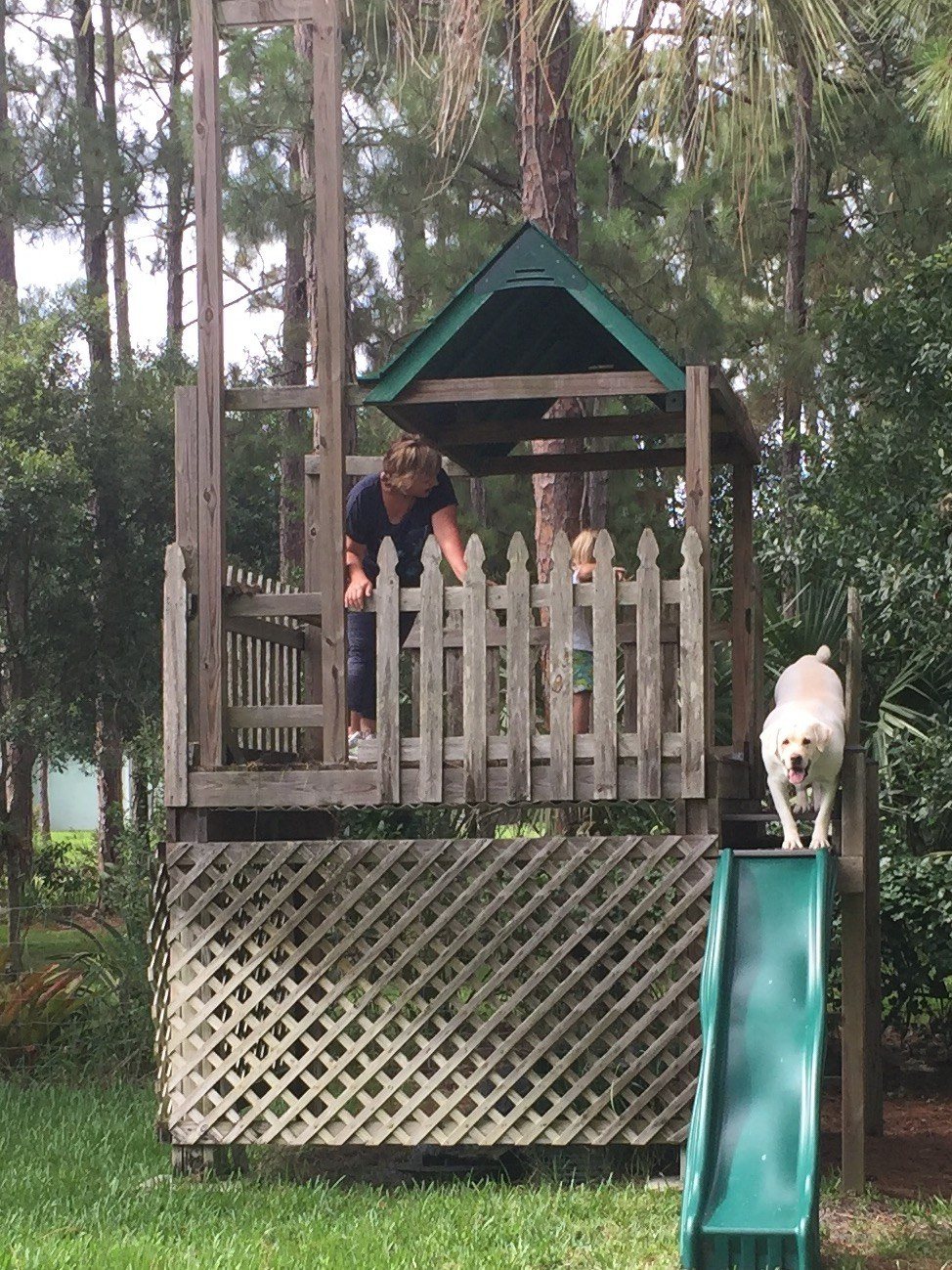 Daring Doggie