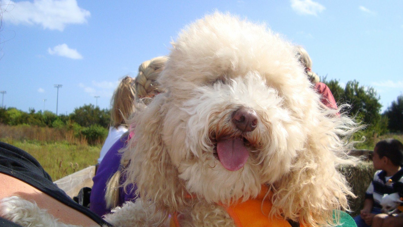Bobo On A Halloween Hay Ride !