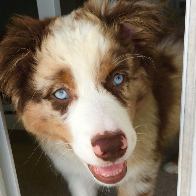 Happy Happy Happy.. Max
