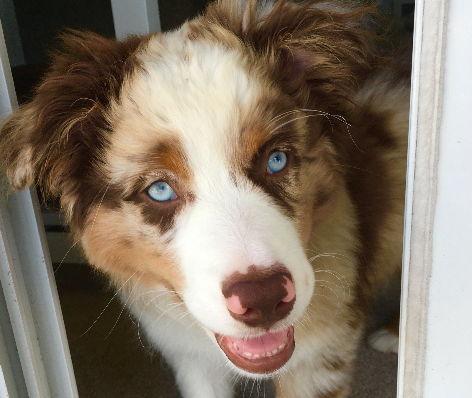 Happy Happy Happy.. Max