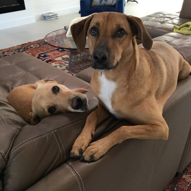 Lazy Day!
