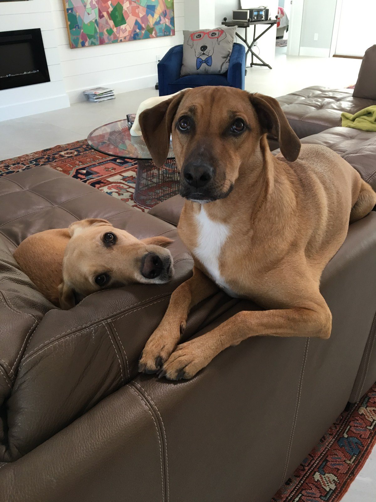 Lazy Day!