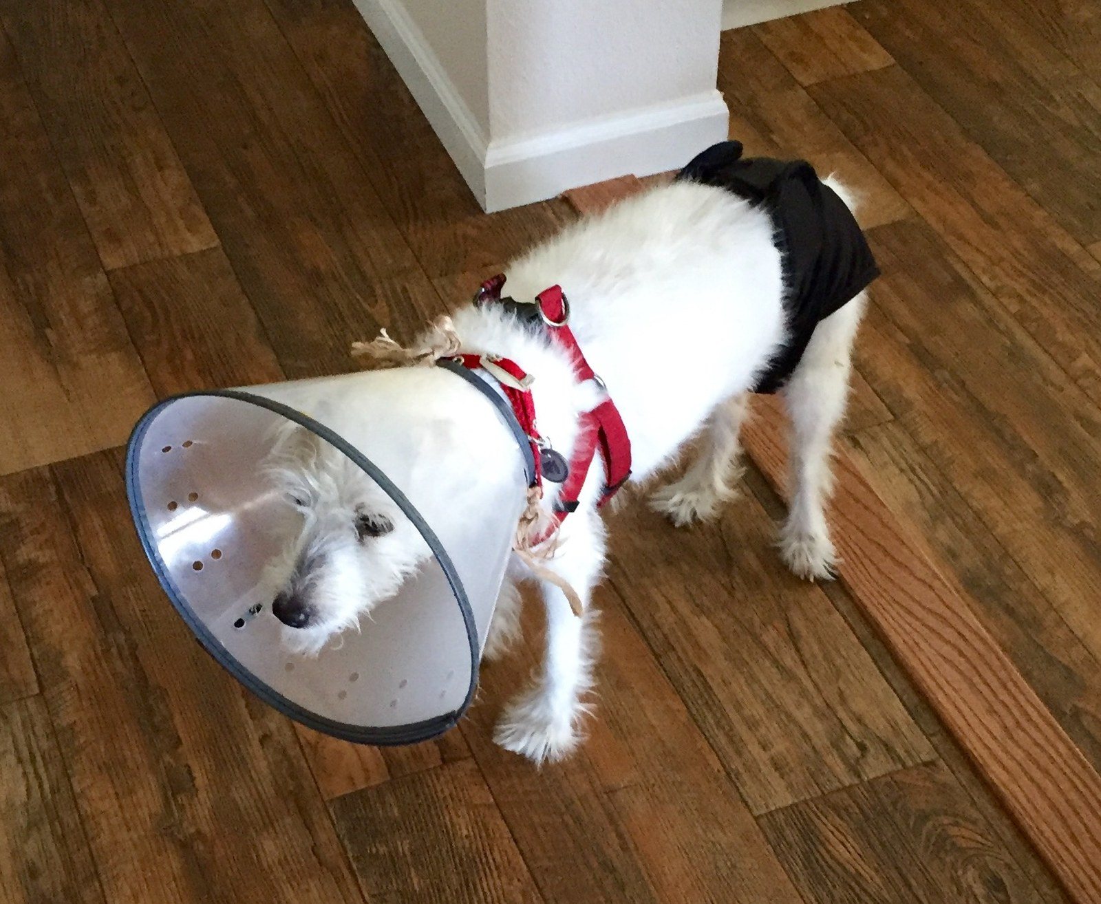 Old But Loved