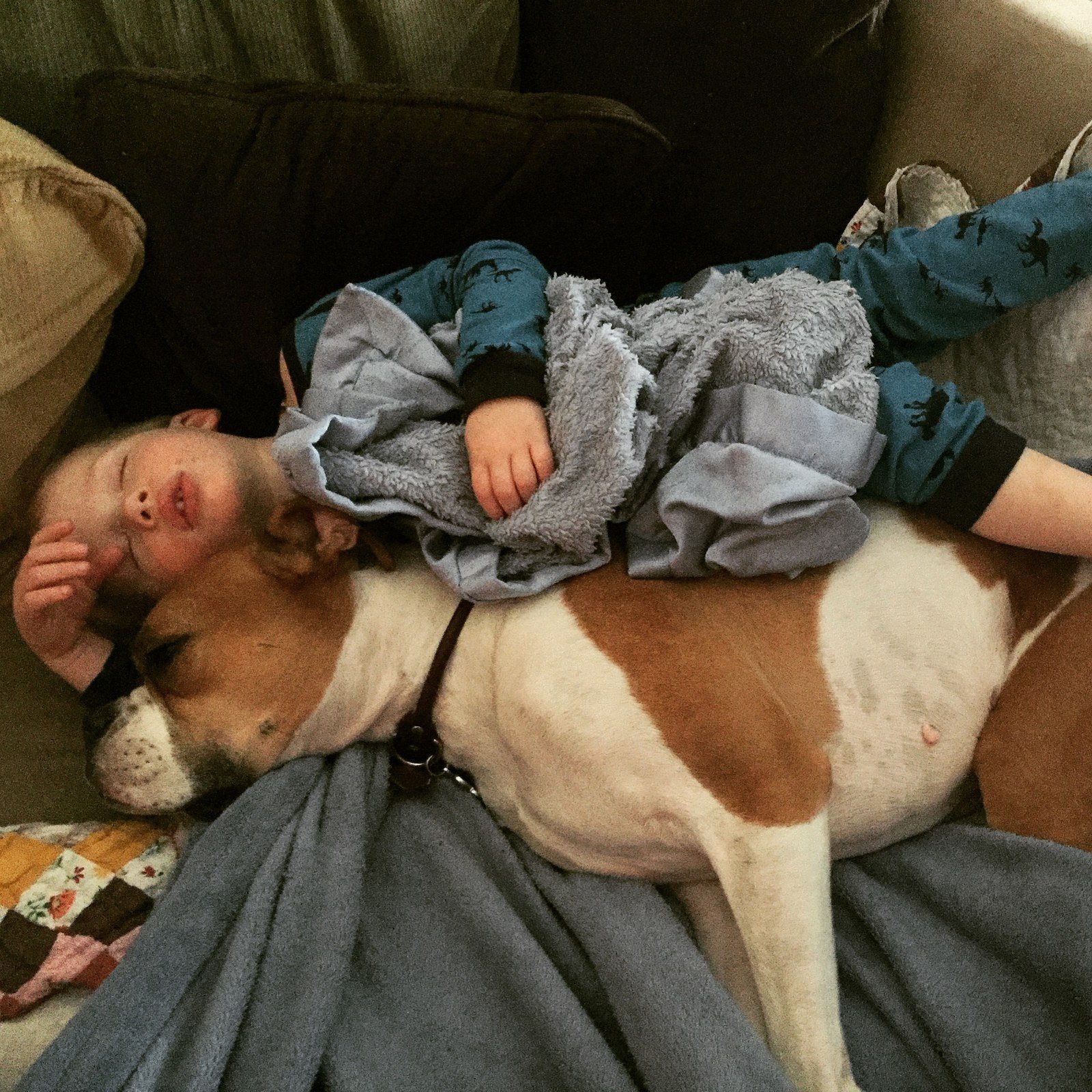 Best Friends For Life