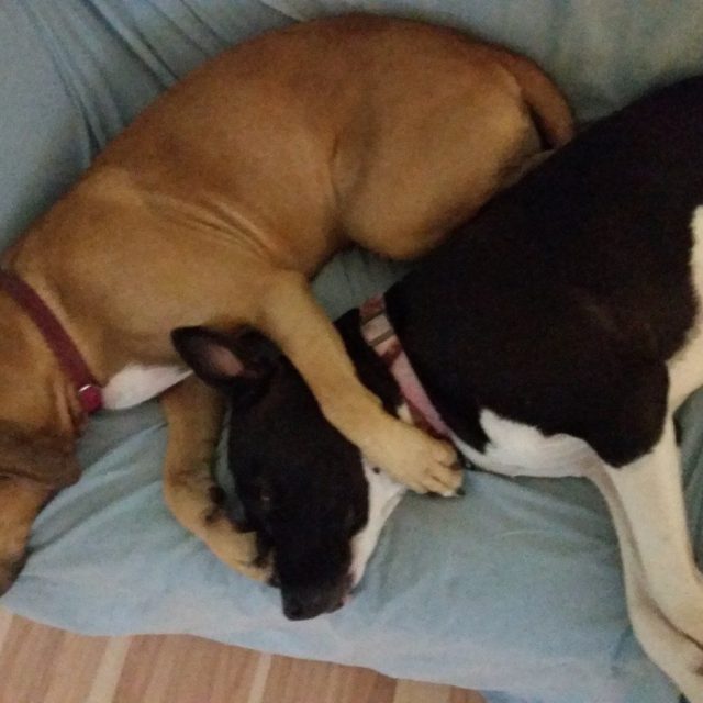 Sisterly Love