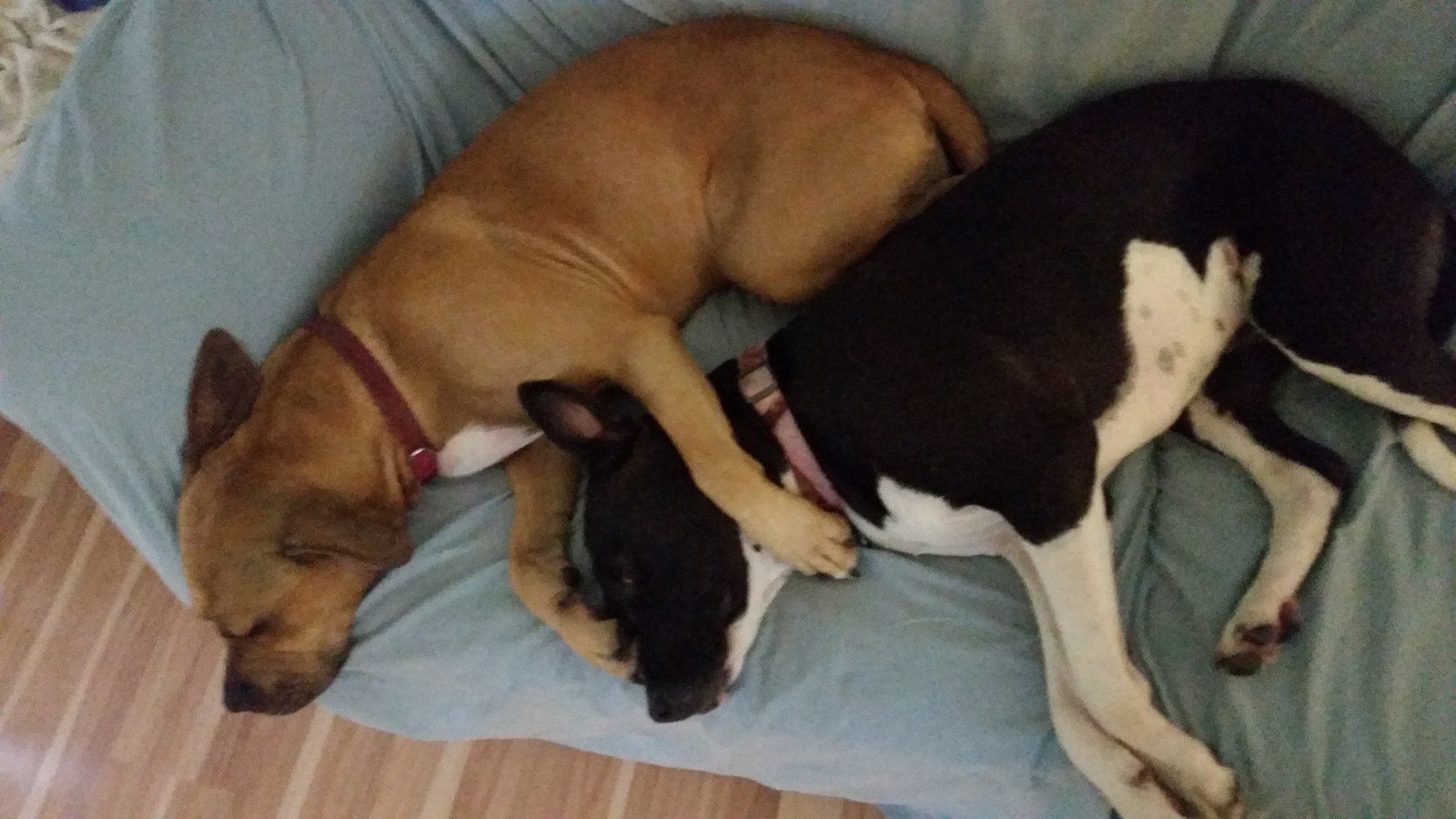Sisterly Love