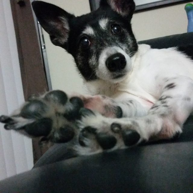 Do My Feet Stink?