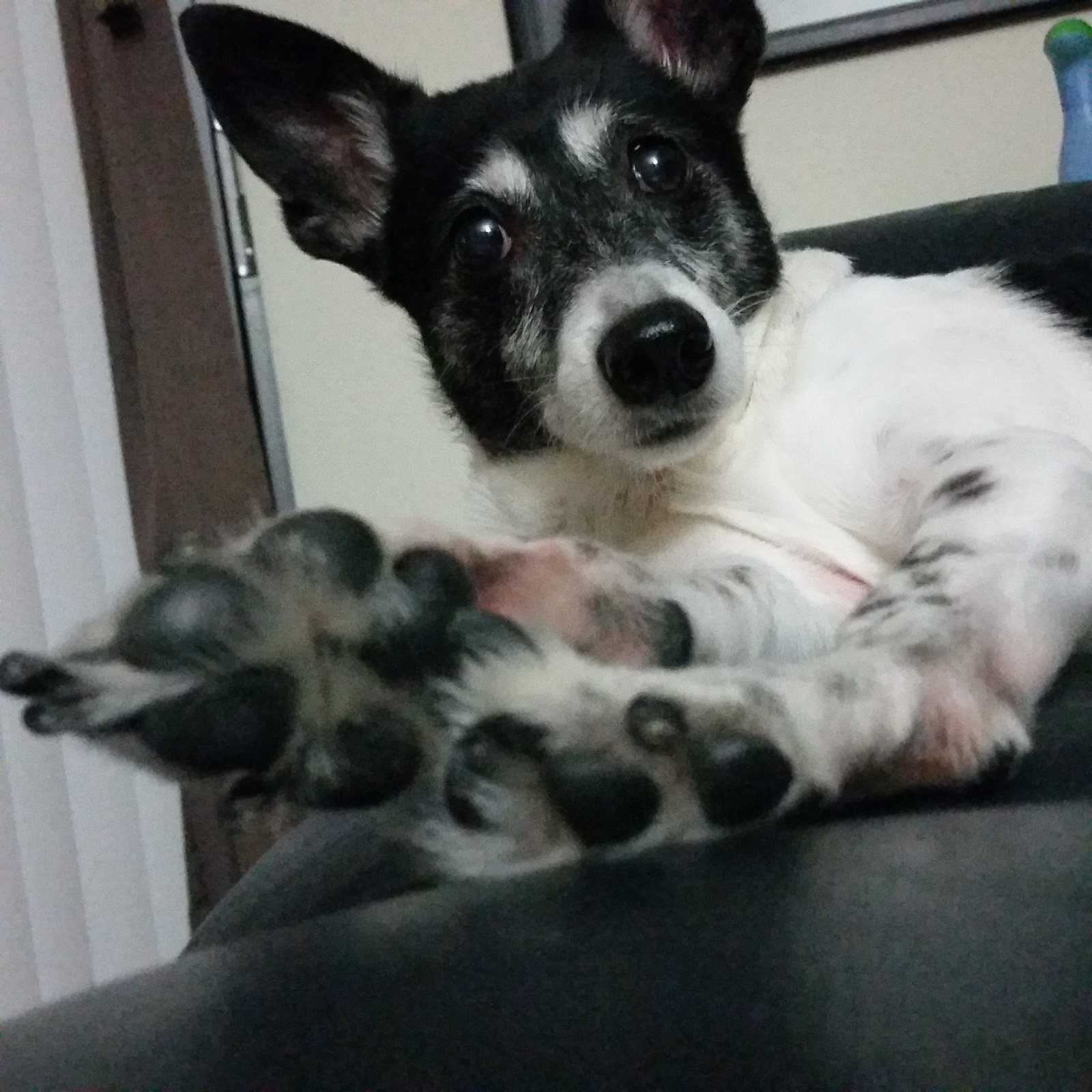 Do My Feet Stink?
