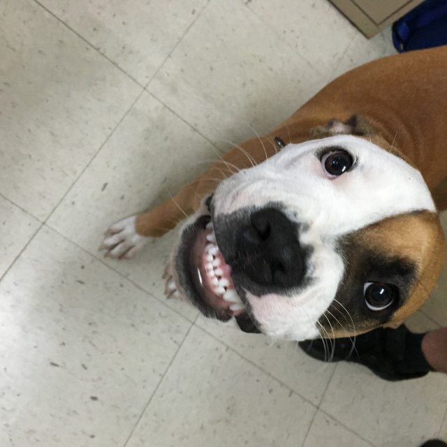Say Cheeeeese!