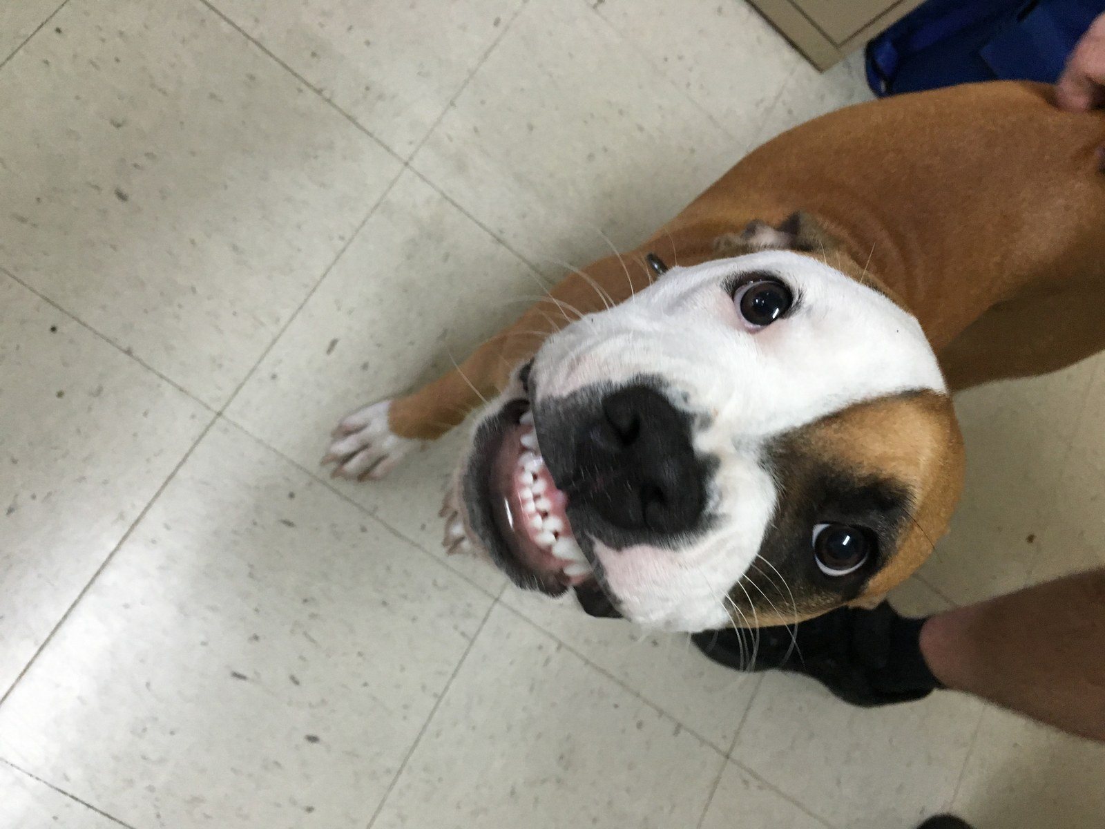 Say Cheeeeese!