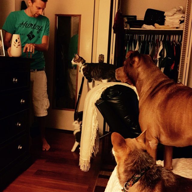 Waiting For Treats