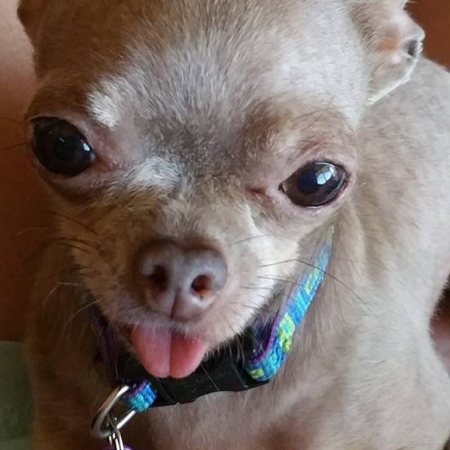 Princess Chloe