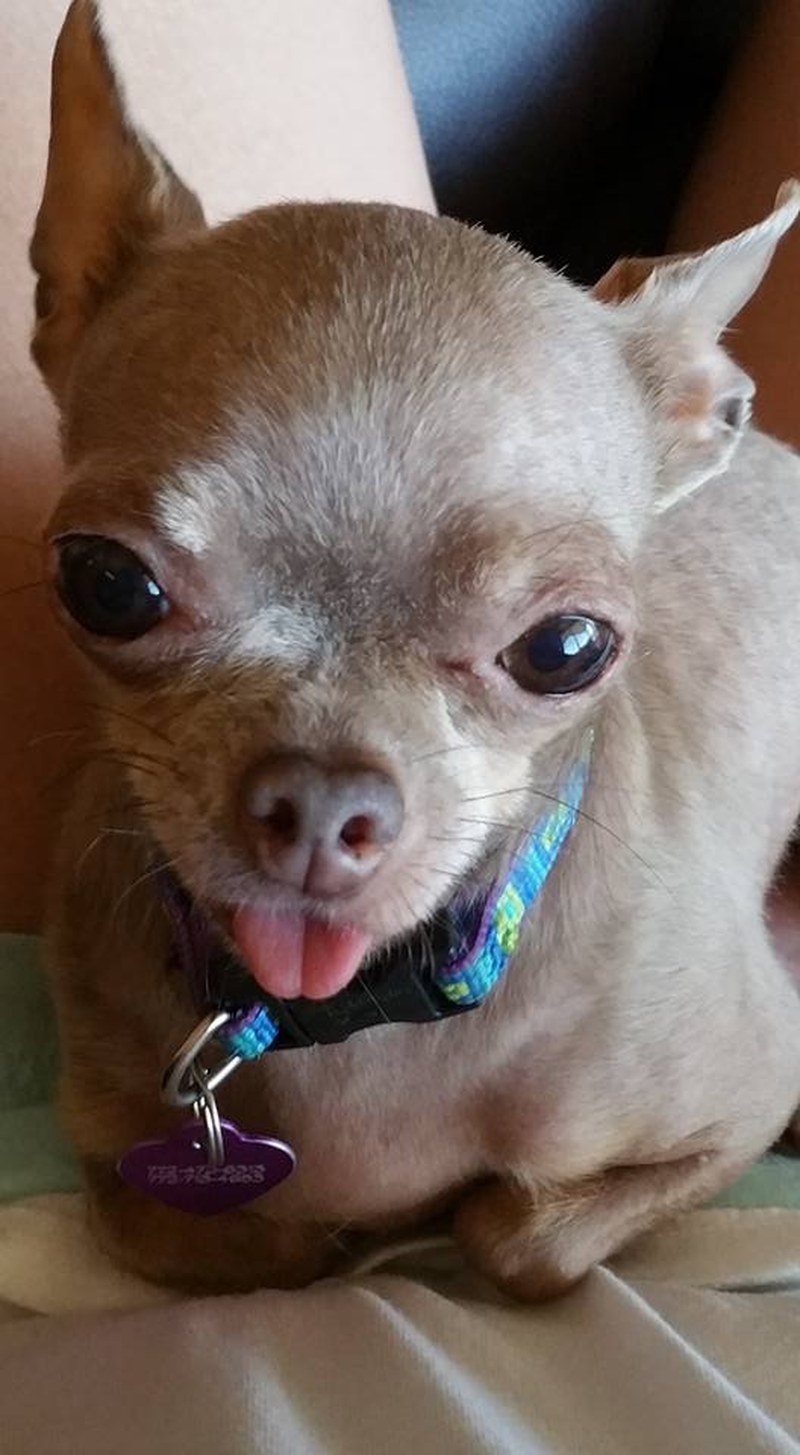 Princess Chloe
