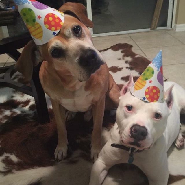 Birthday Brothers!