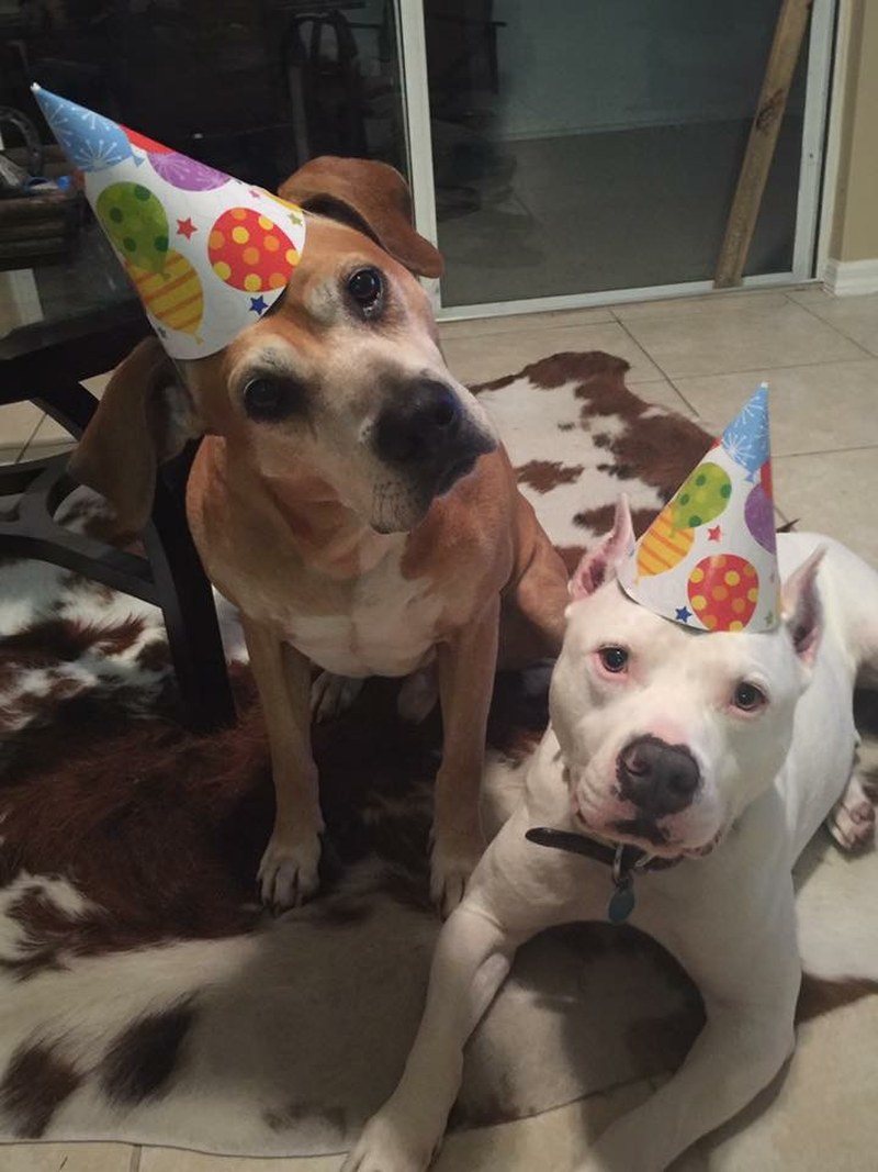 Birthday Brothers!