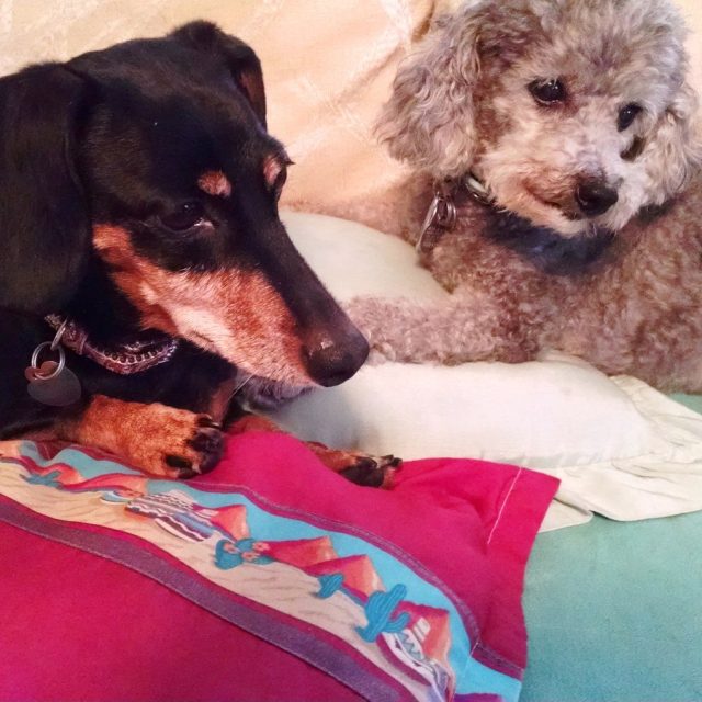Best Friends