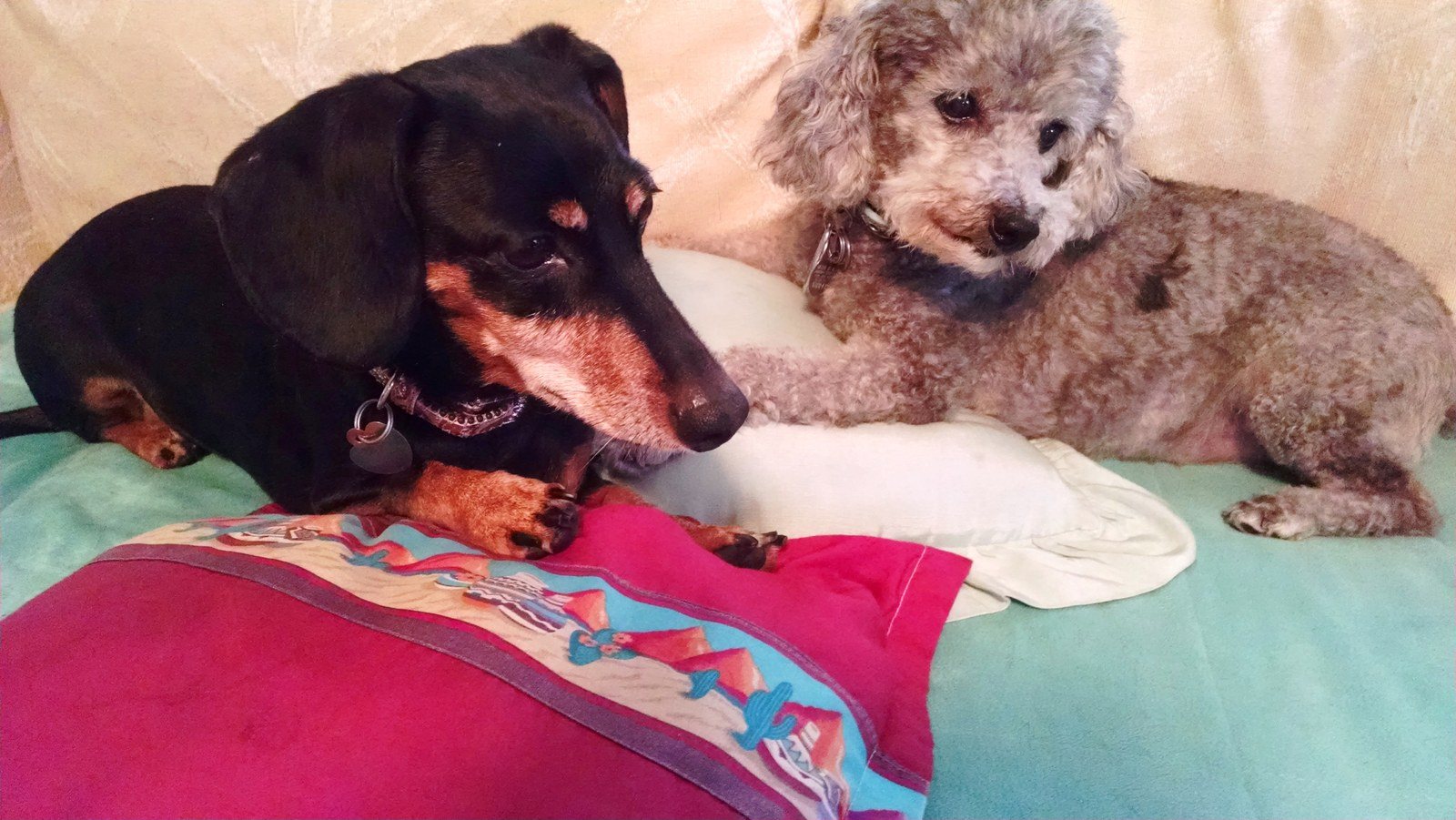 Best Friends