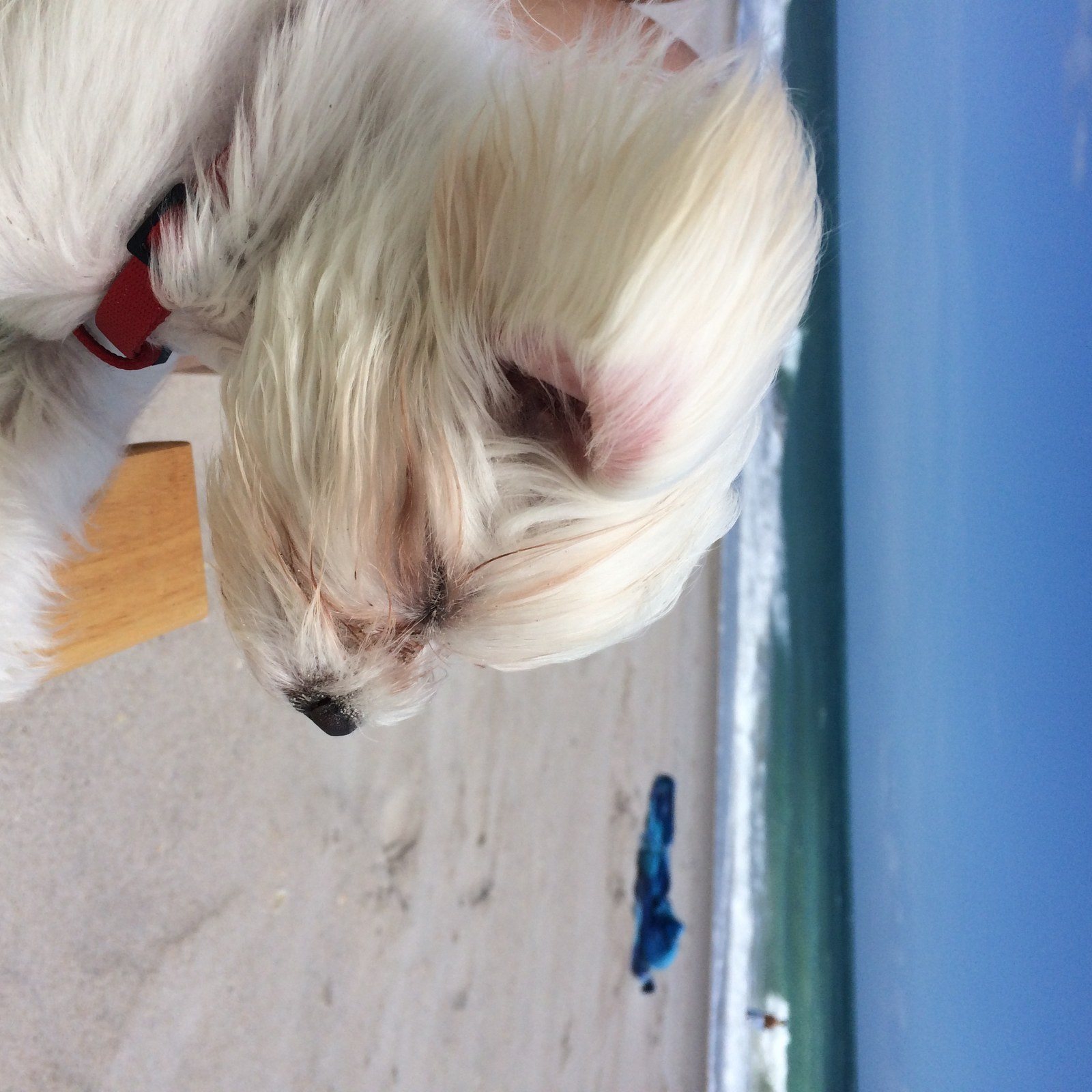 Vero Beach Life