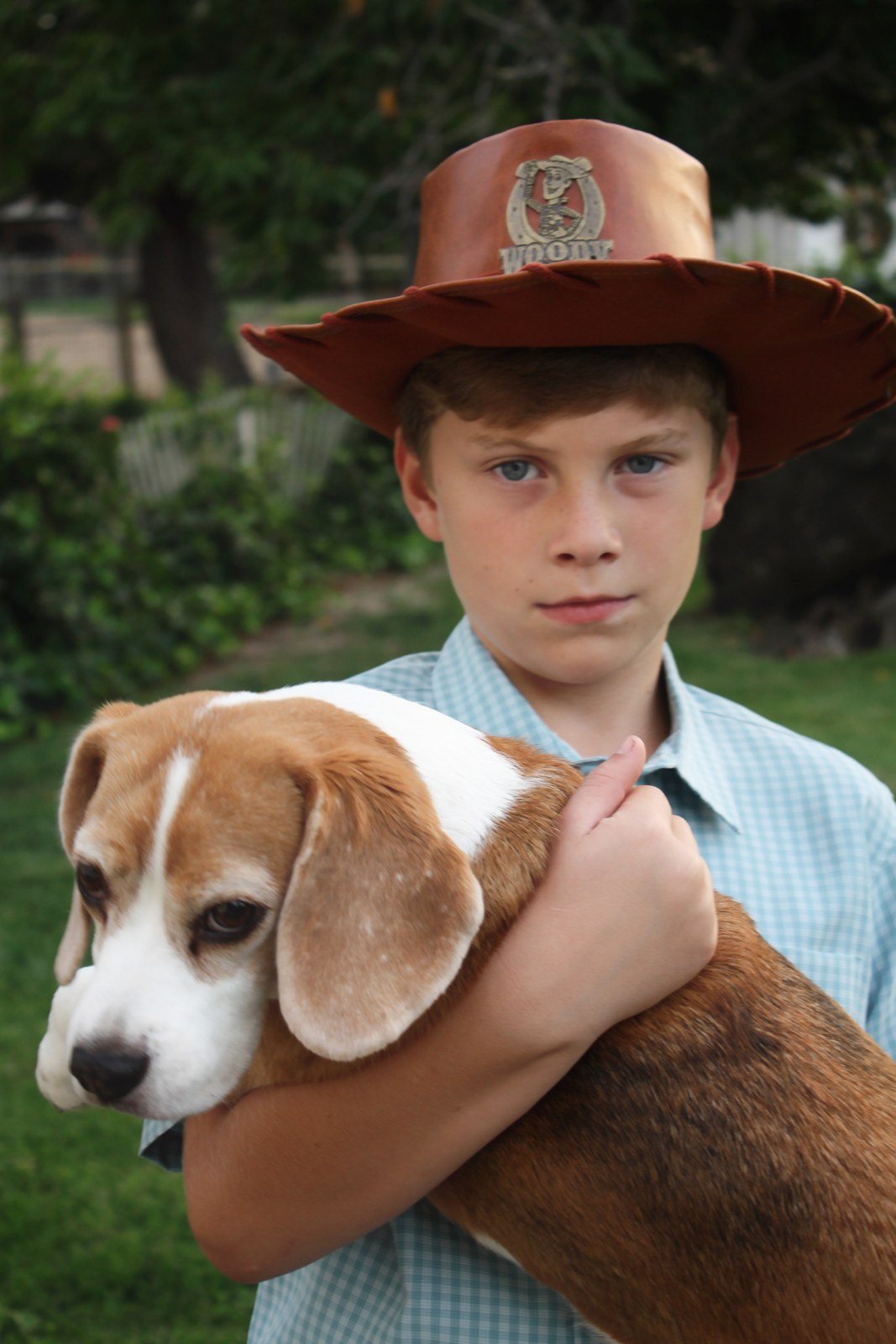 A Boy And His Dog