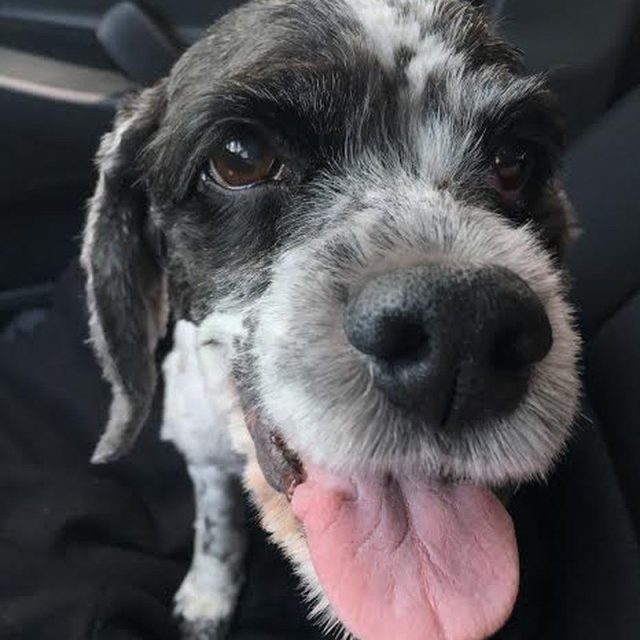 Sweet Girl