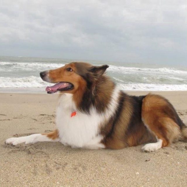 Hanging At The Beach On A Cool Cloudy Day!