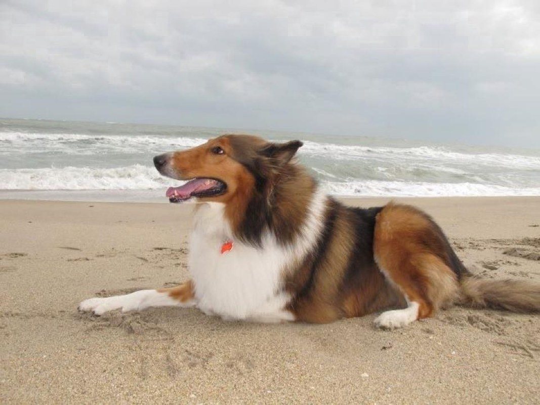 Hanging At The Beach On A Cool Cloudy Day!