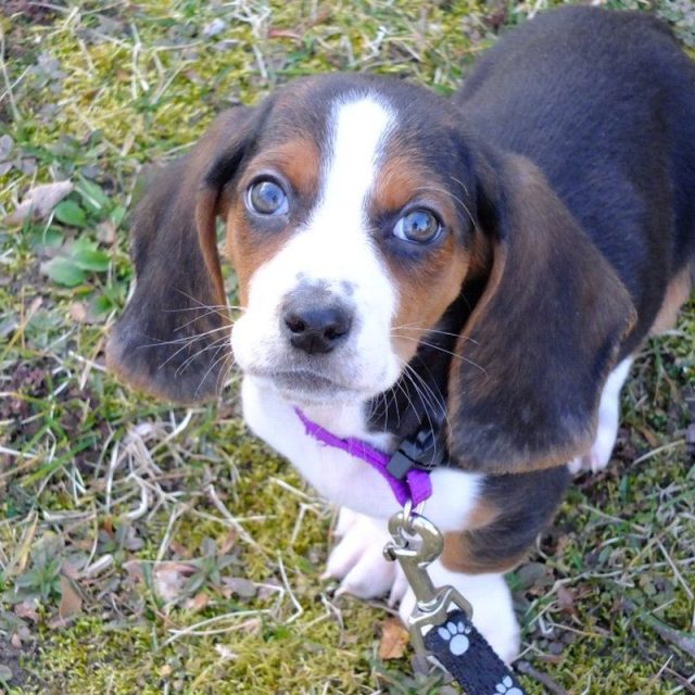 My Little Zoey