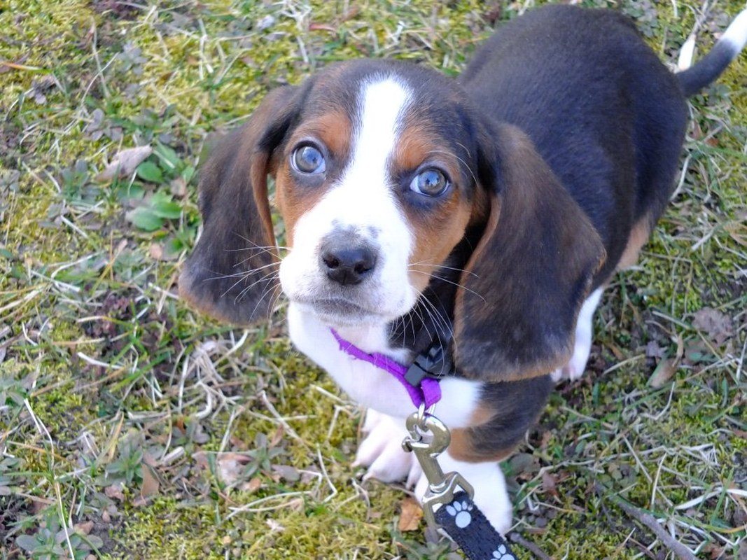 My Little Zoey