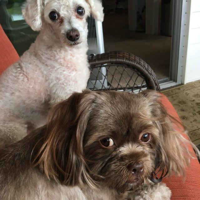 Pepe And Mochita!