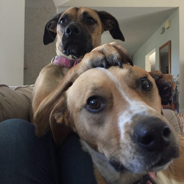 Best Friends