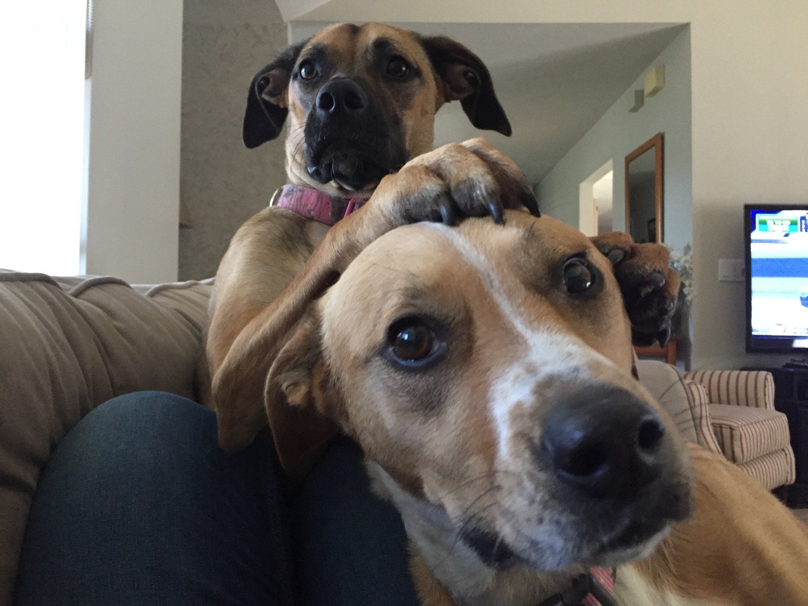 Best Friends