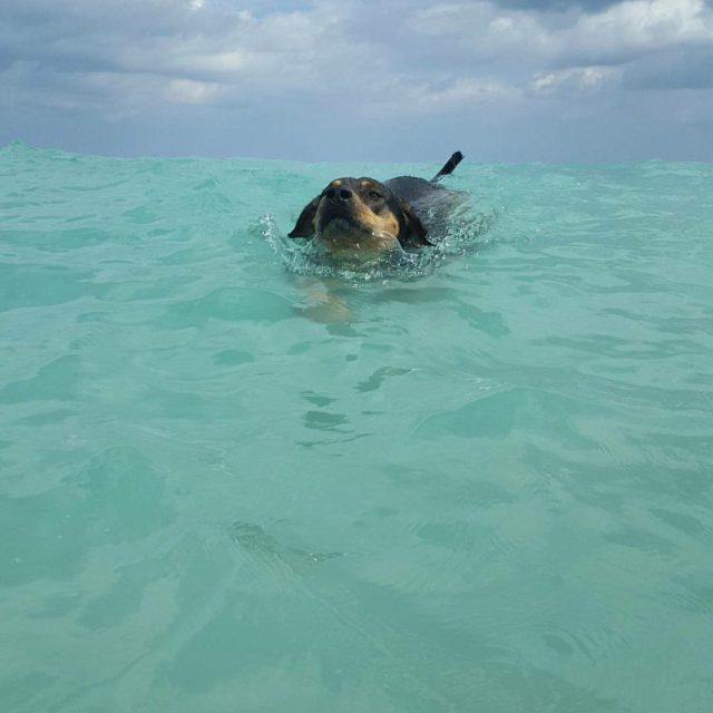 Catchin Some Waves.