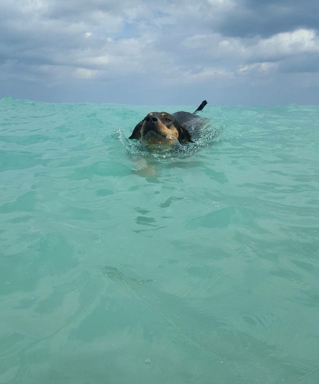 Catchin Some Waves.