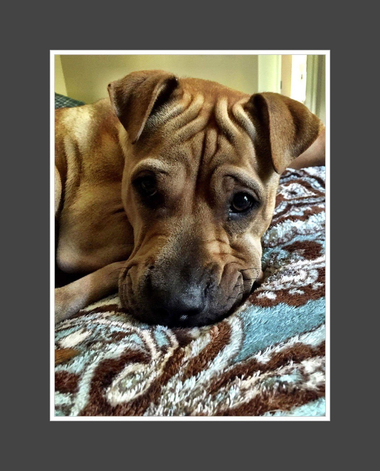 Jazzy Girl