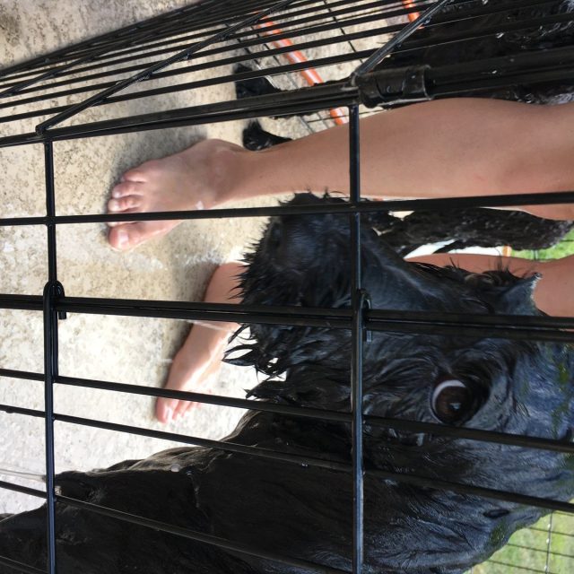 A Bath??? Really?