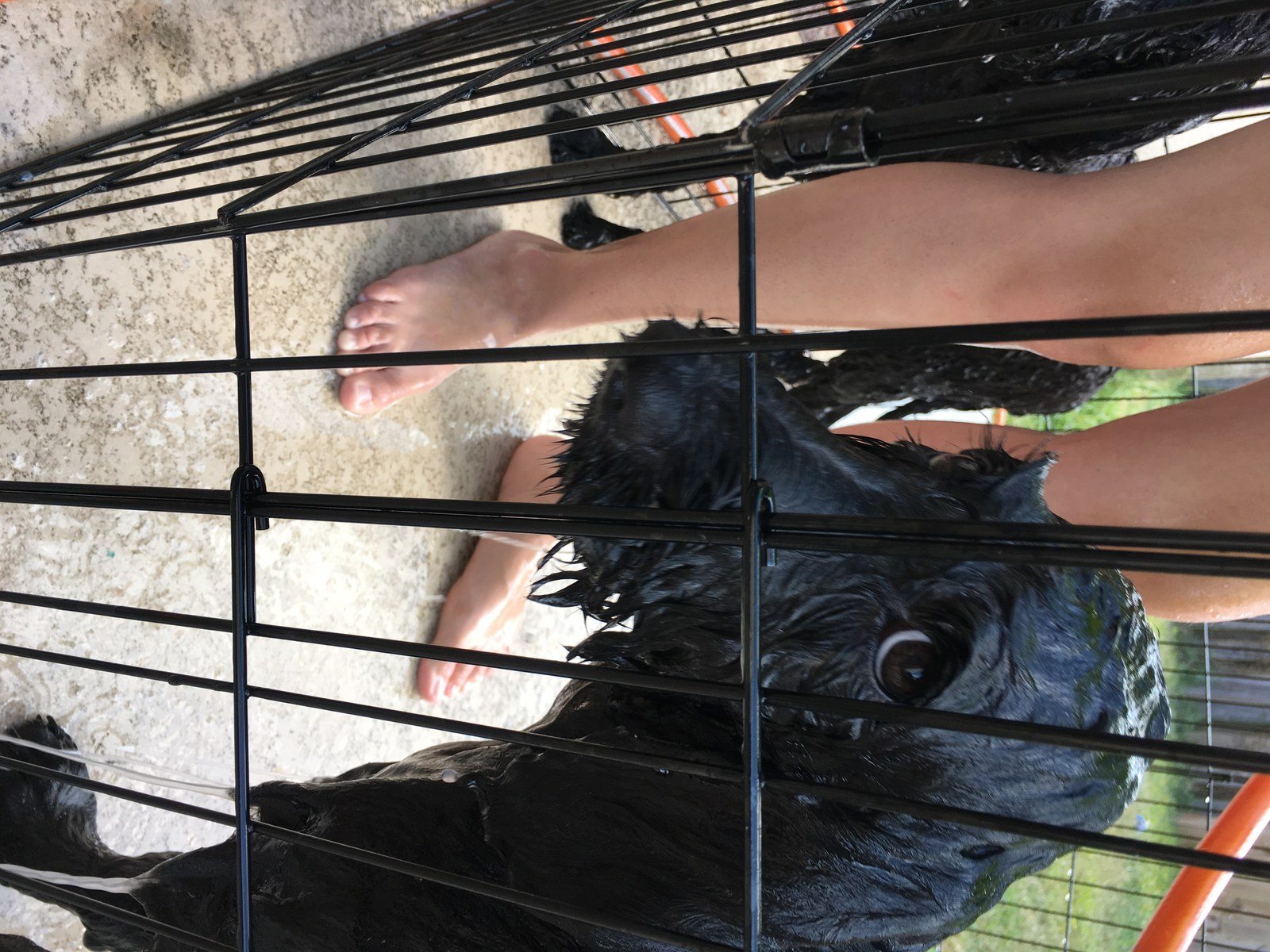 A Bath??? Really?