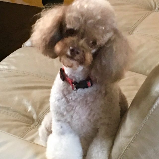 Strike A Pose