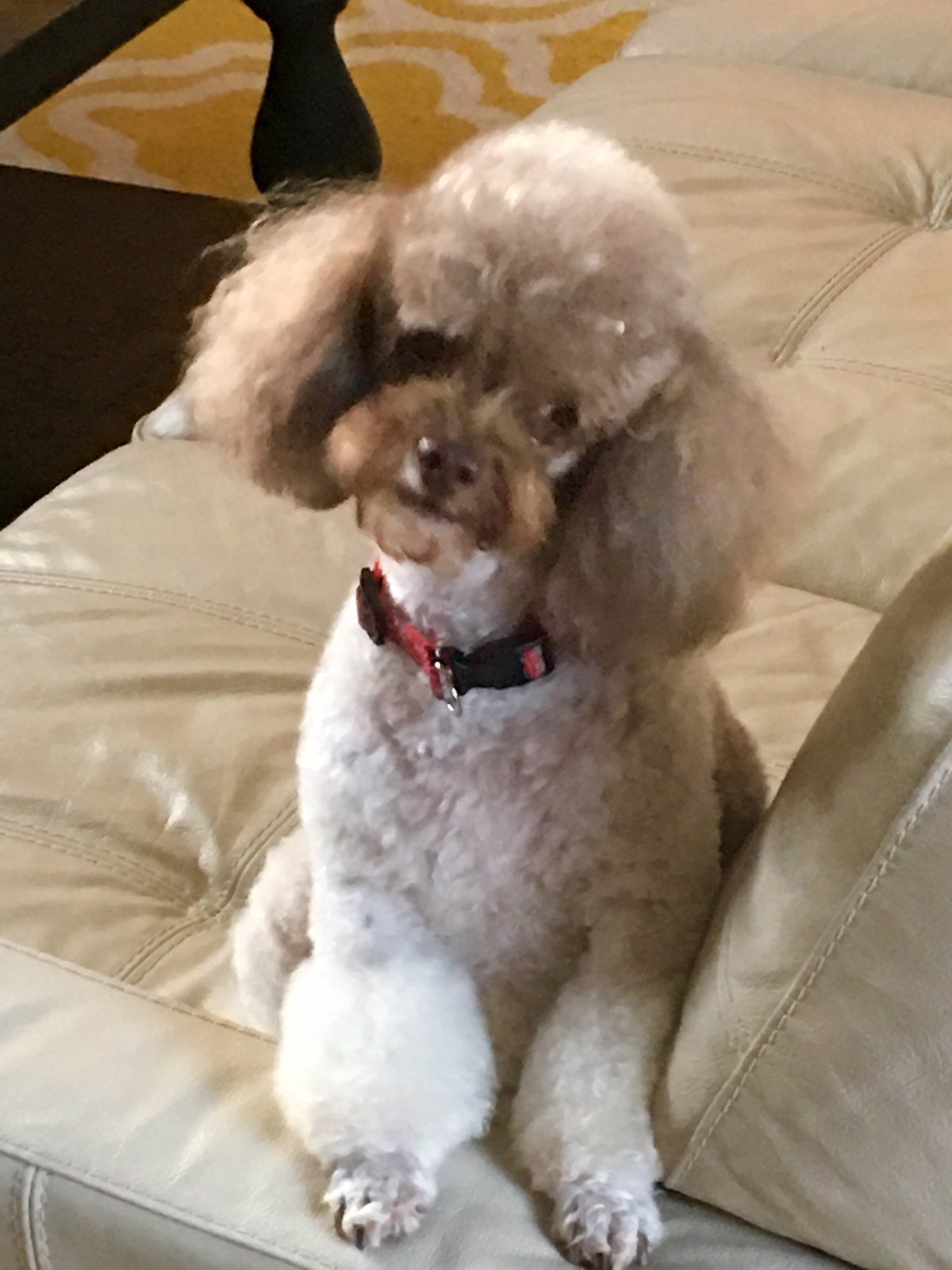 Strike A Pose