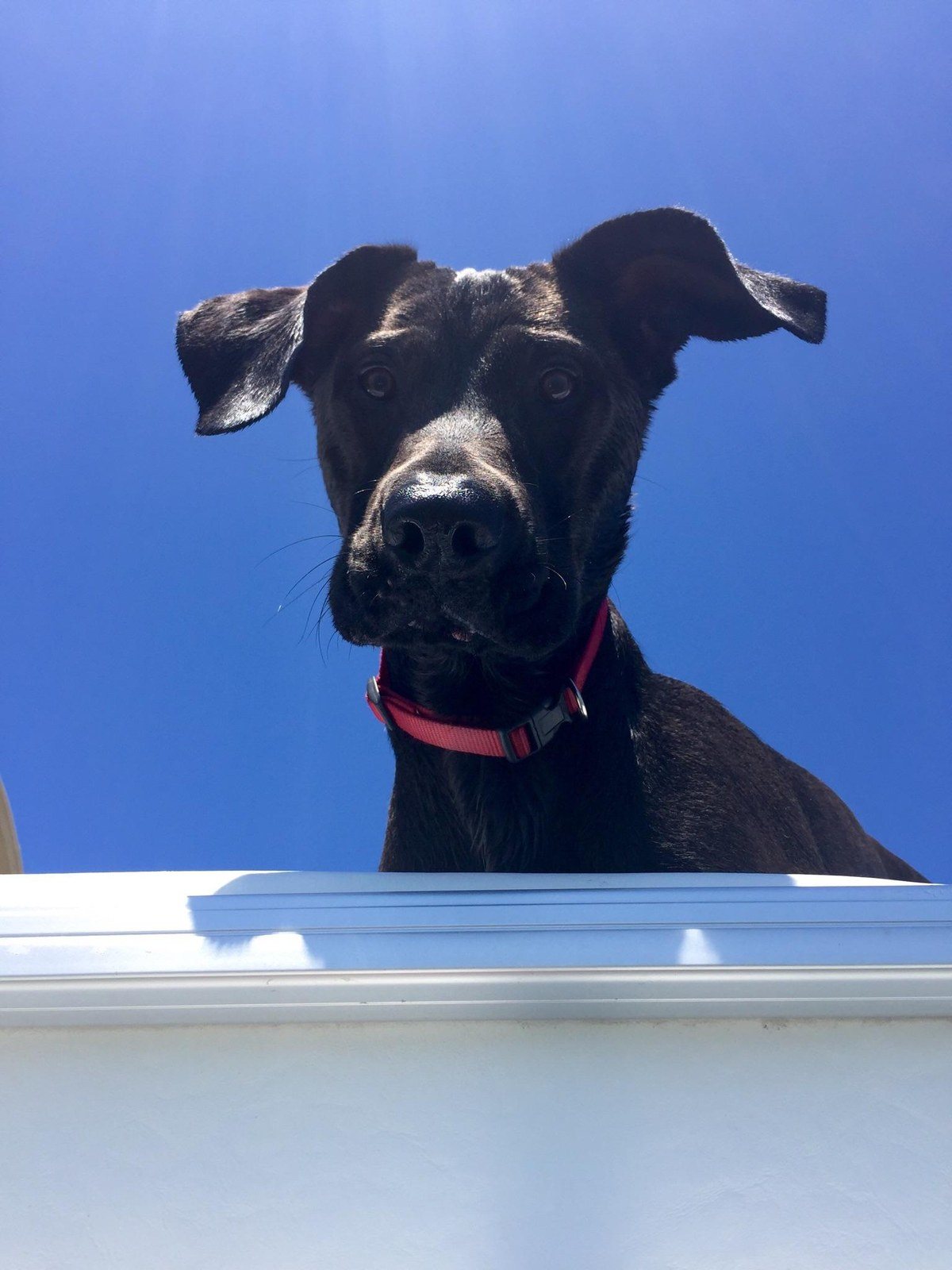 Whatcha Doin?