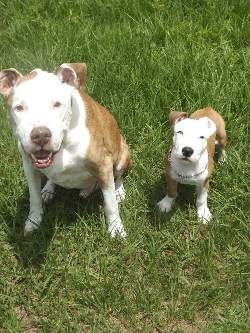 My Two Babys