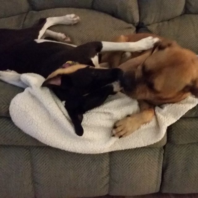 Sisterly Love