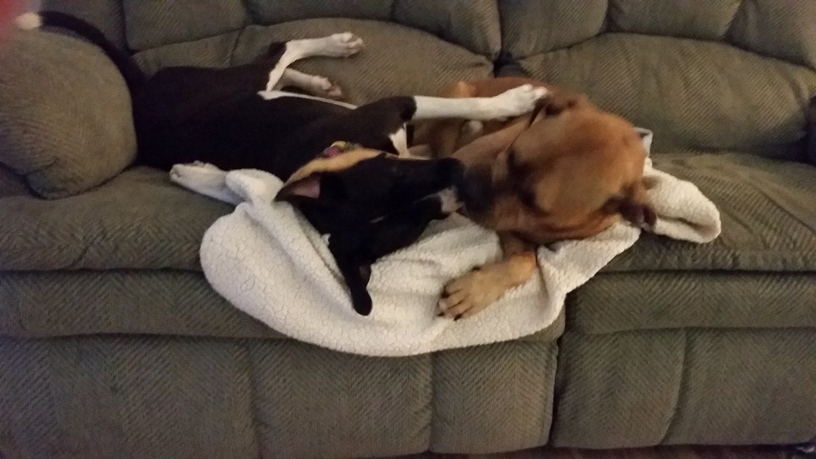 Sisterly Love