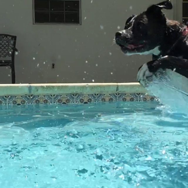 Wave Runner